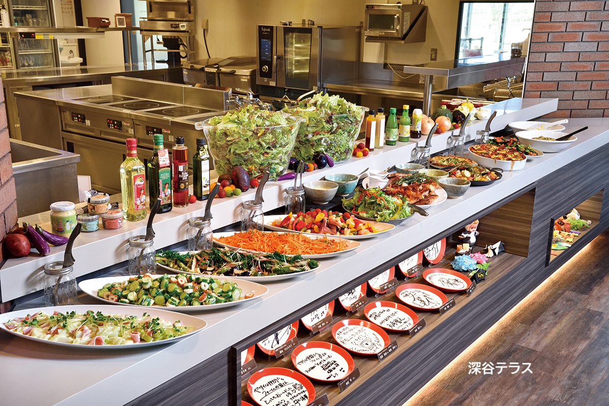 2026年6月のバスツアーのイメージ画像