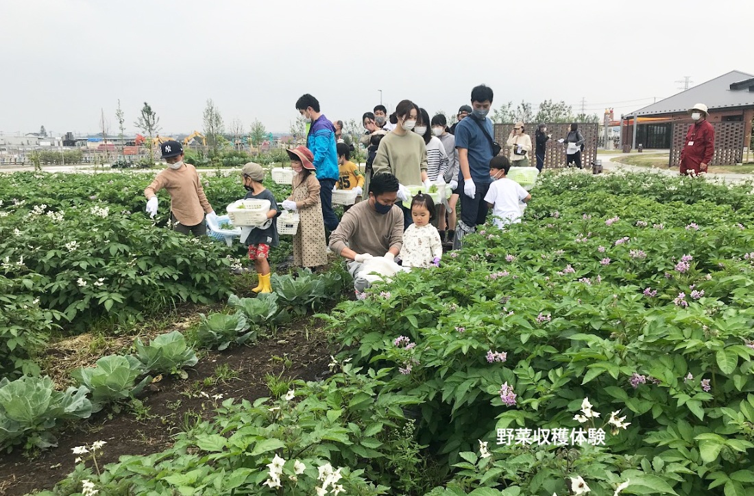 2026年6月のバスツアーのイメージ画像
