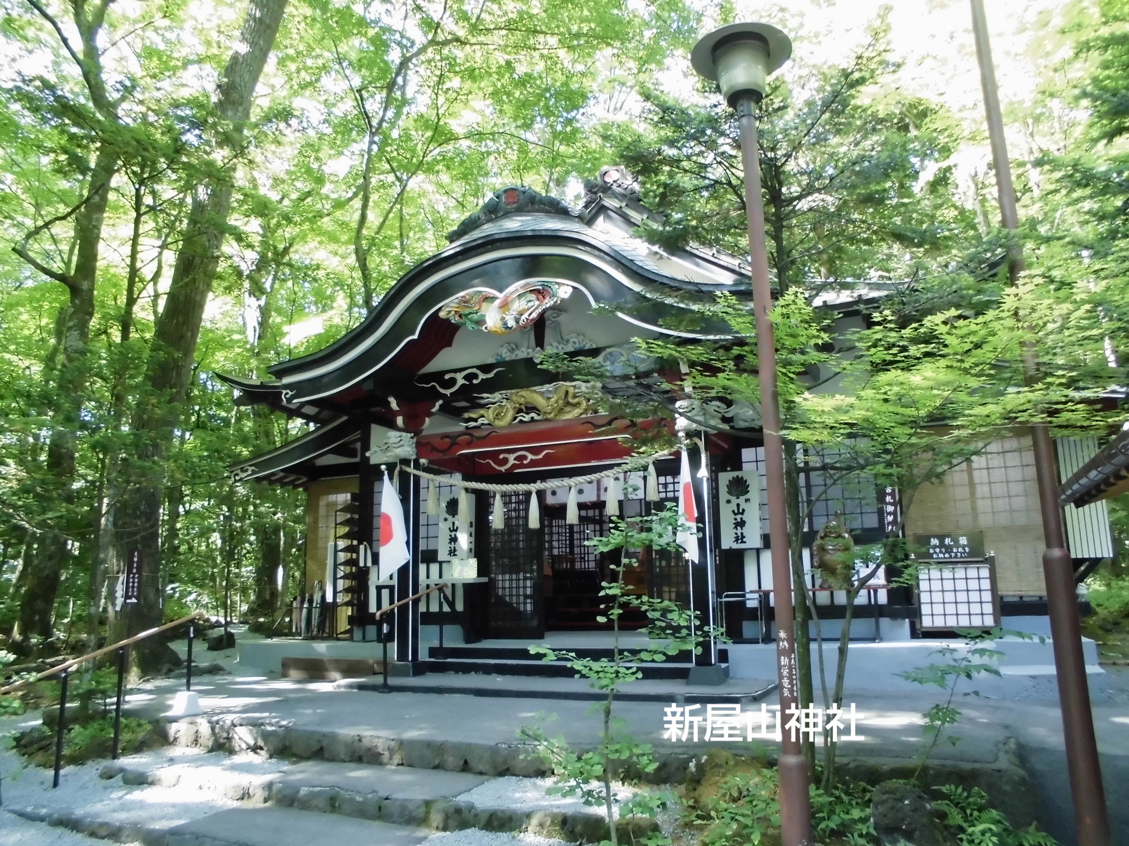 ツアーのポイントの画像