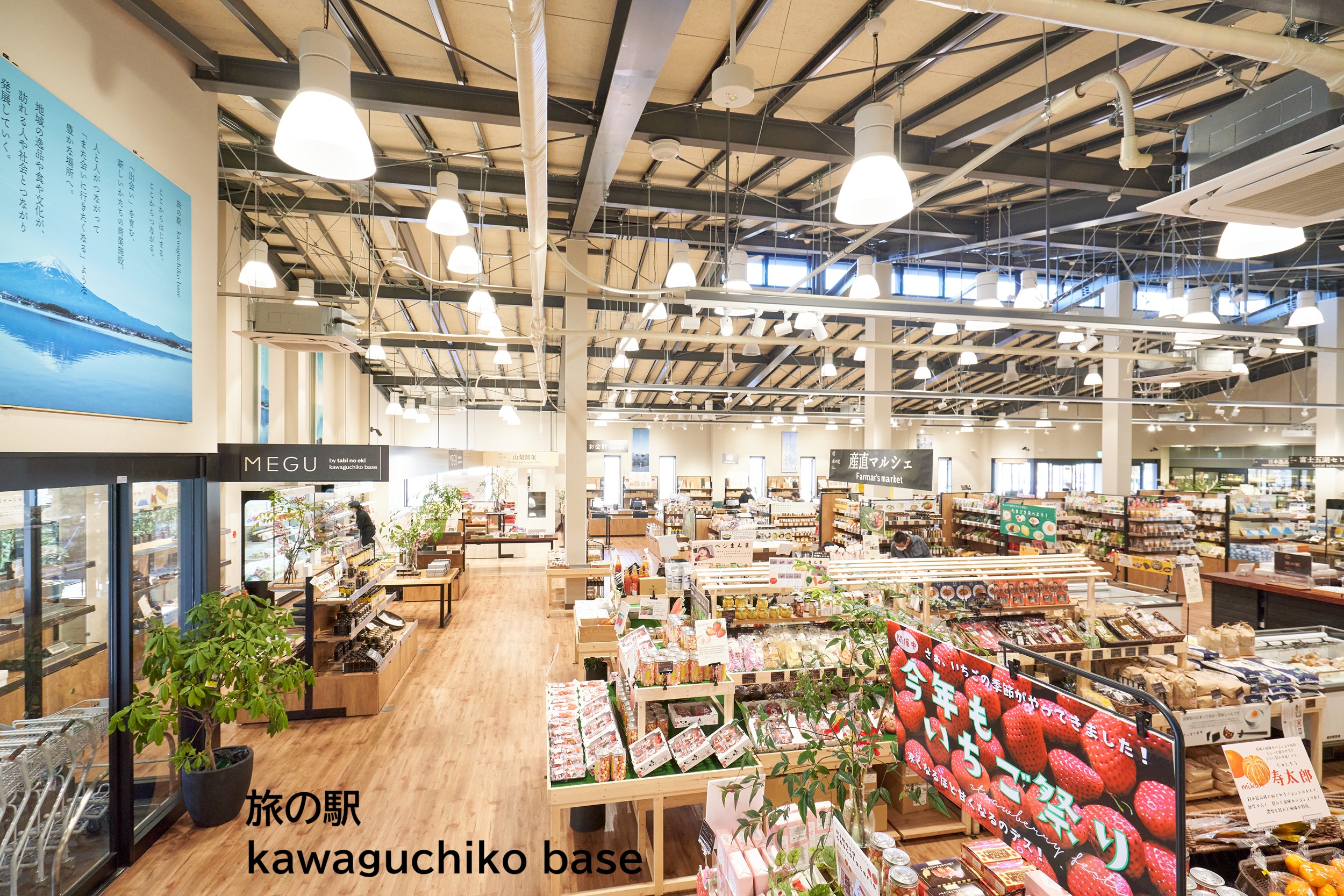 2026年6月のバスツアーのイメージ画像