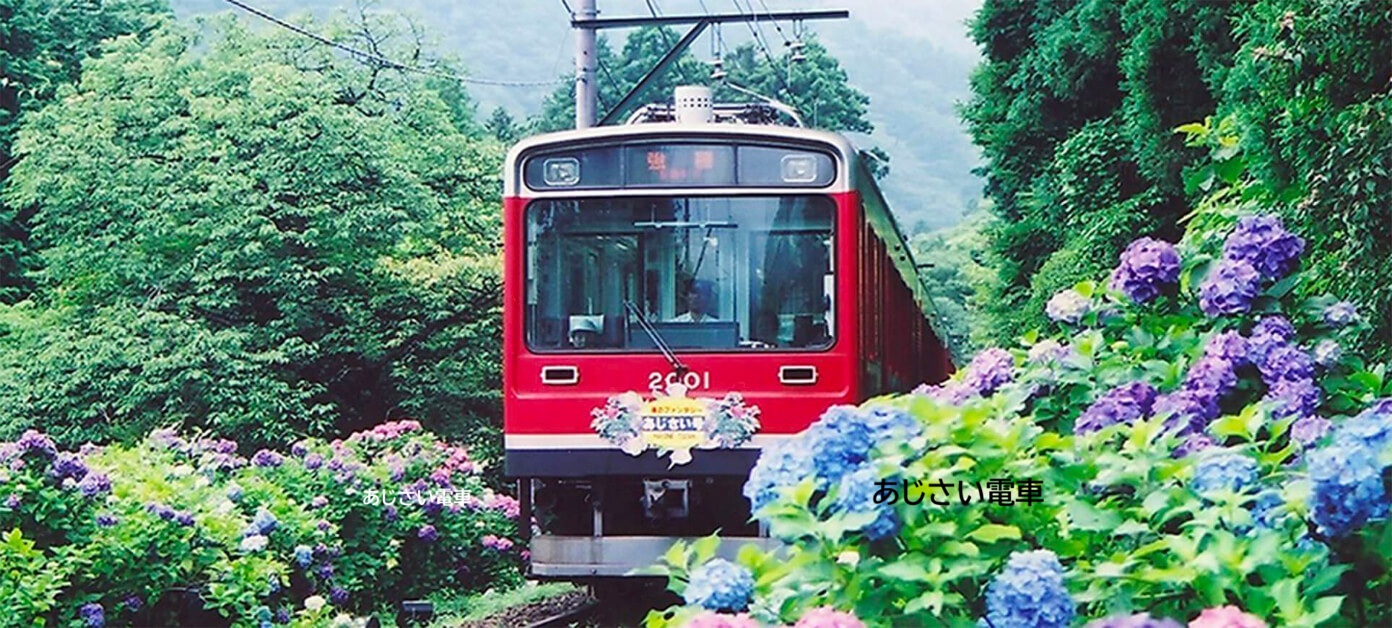 ツアーのポイントの画像