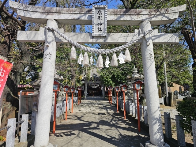 2026年7月～8月のバスツアーのイメージ画像