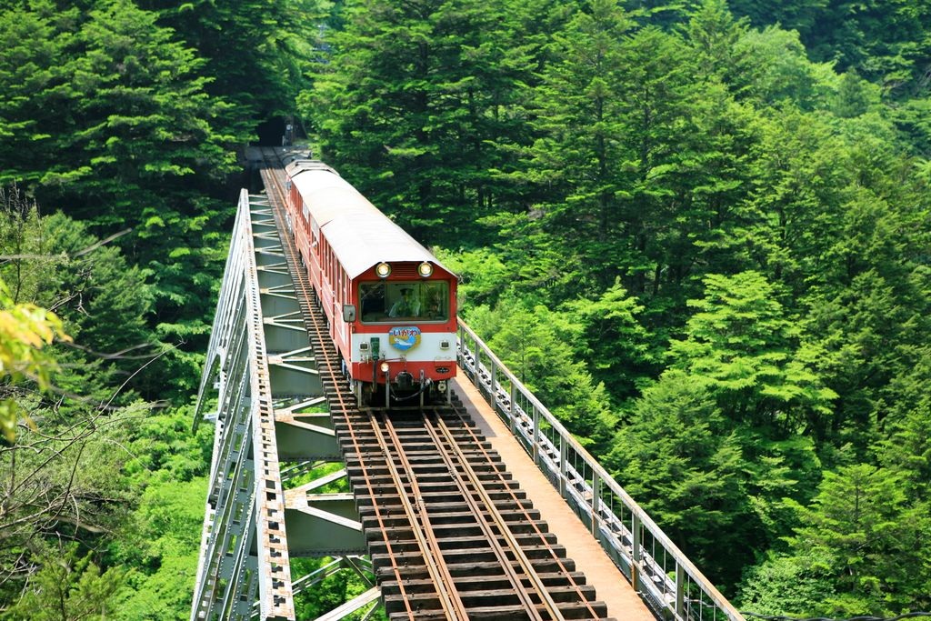 2026年7月～8月のバスツアーのイメージ画像