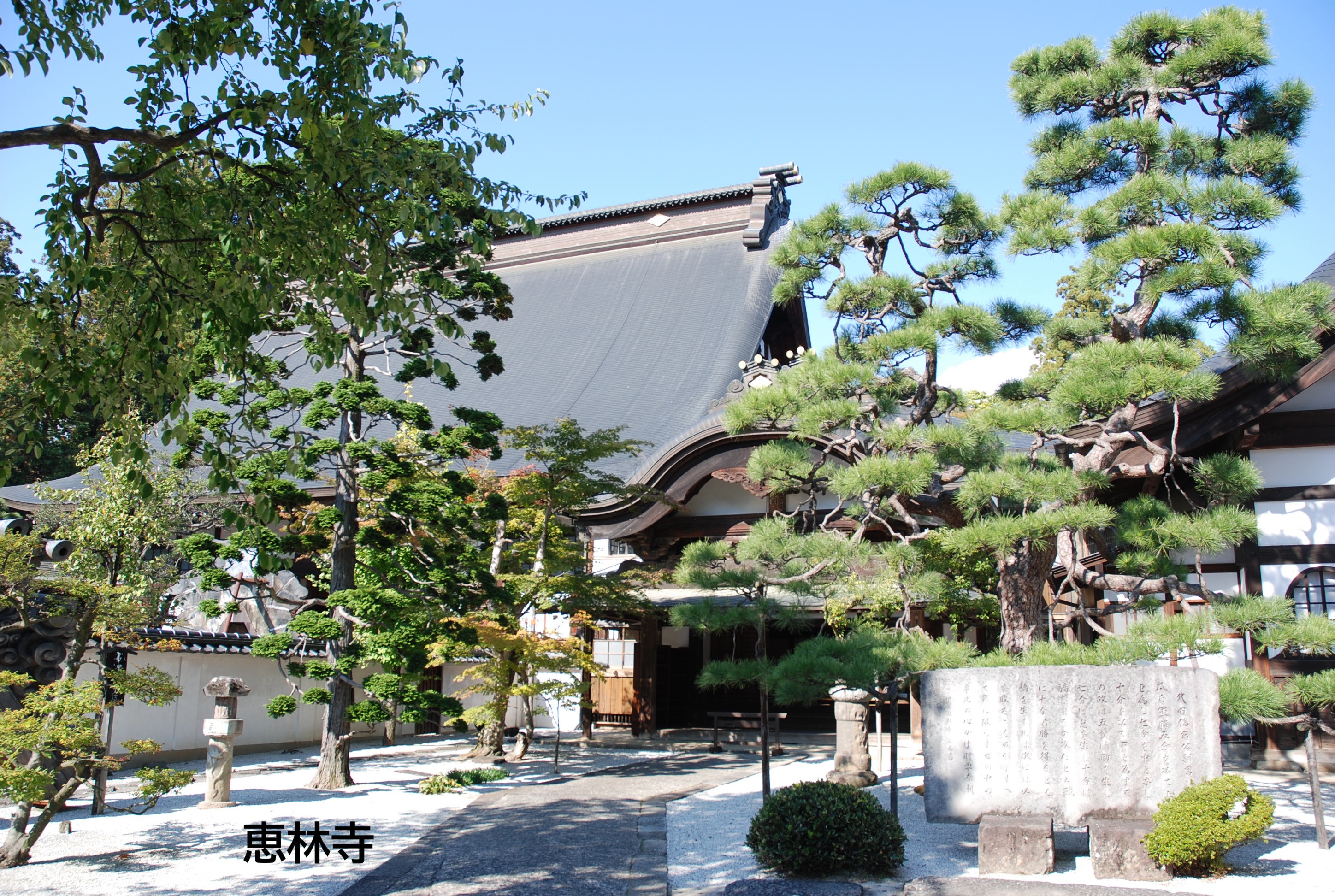 2026年6月のバスツアーのイメージ画像