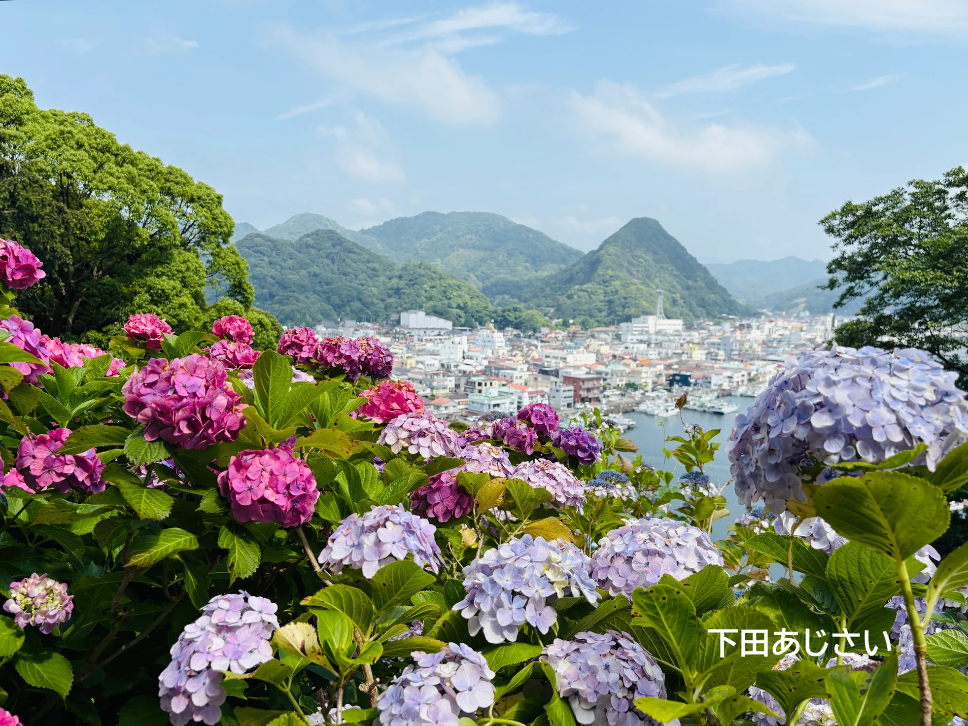 2026年6月のバスツアーのイメージ画像