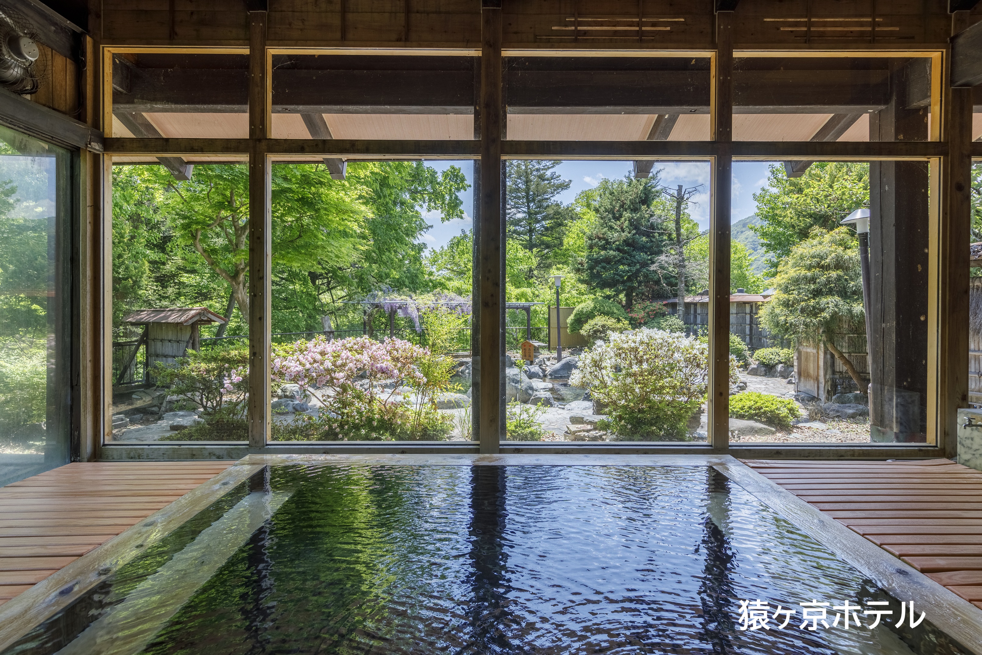 2026年6月のバスツアーのイメージ画像