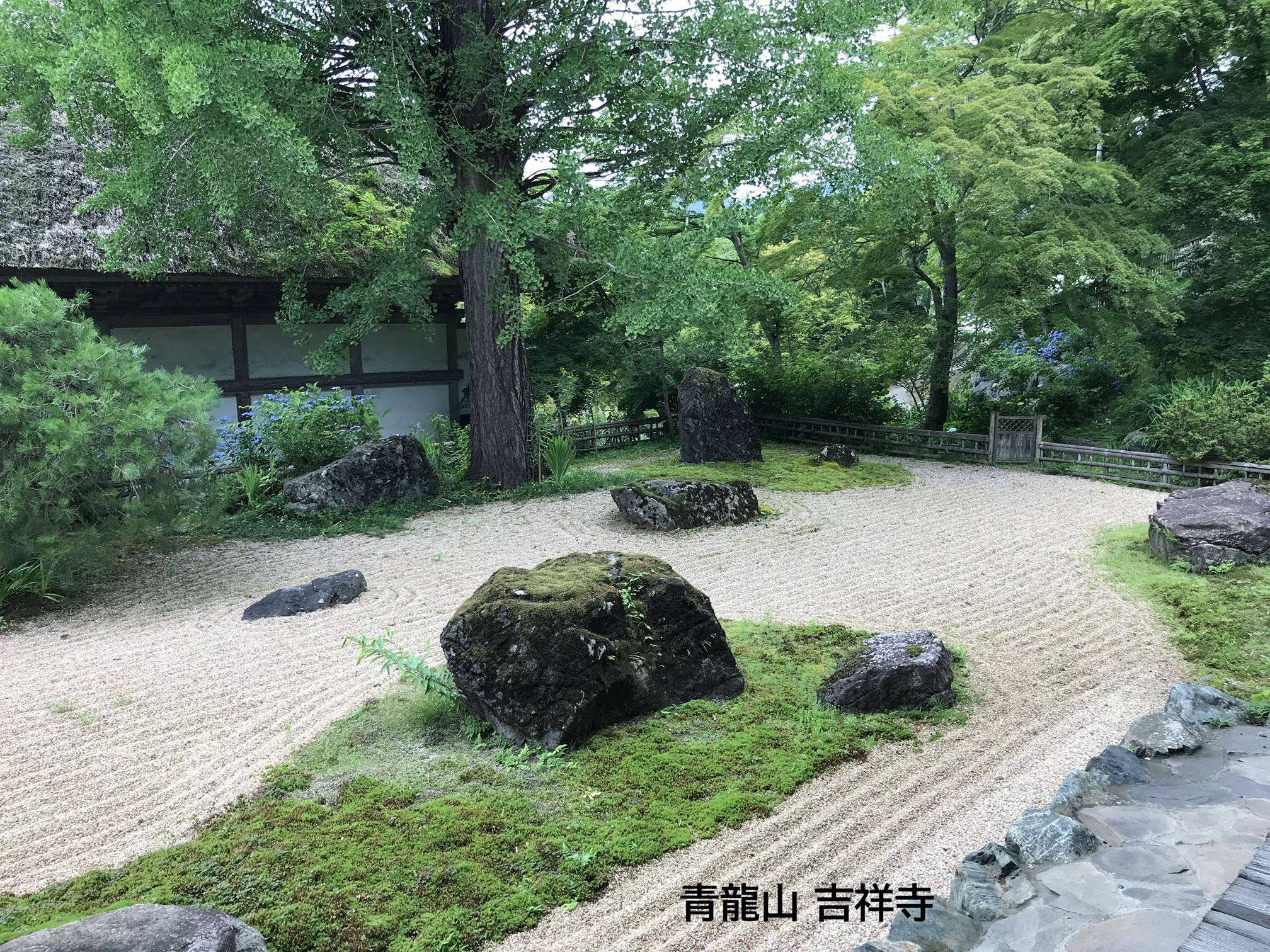 2026年6月のバスツアーのイメージ画像