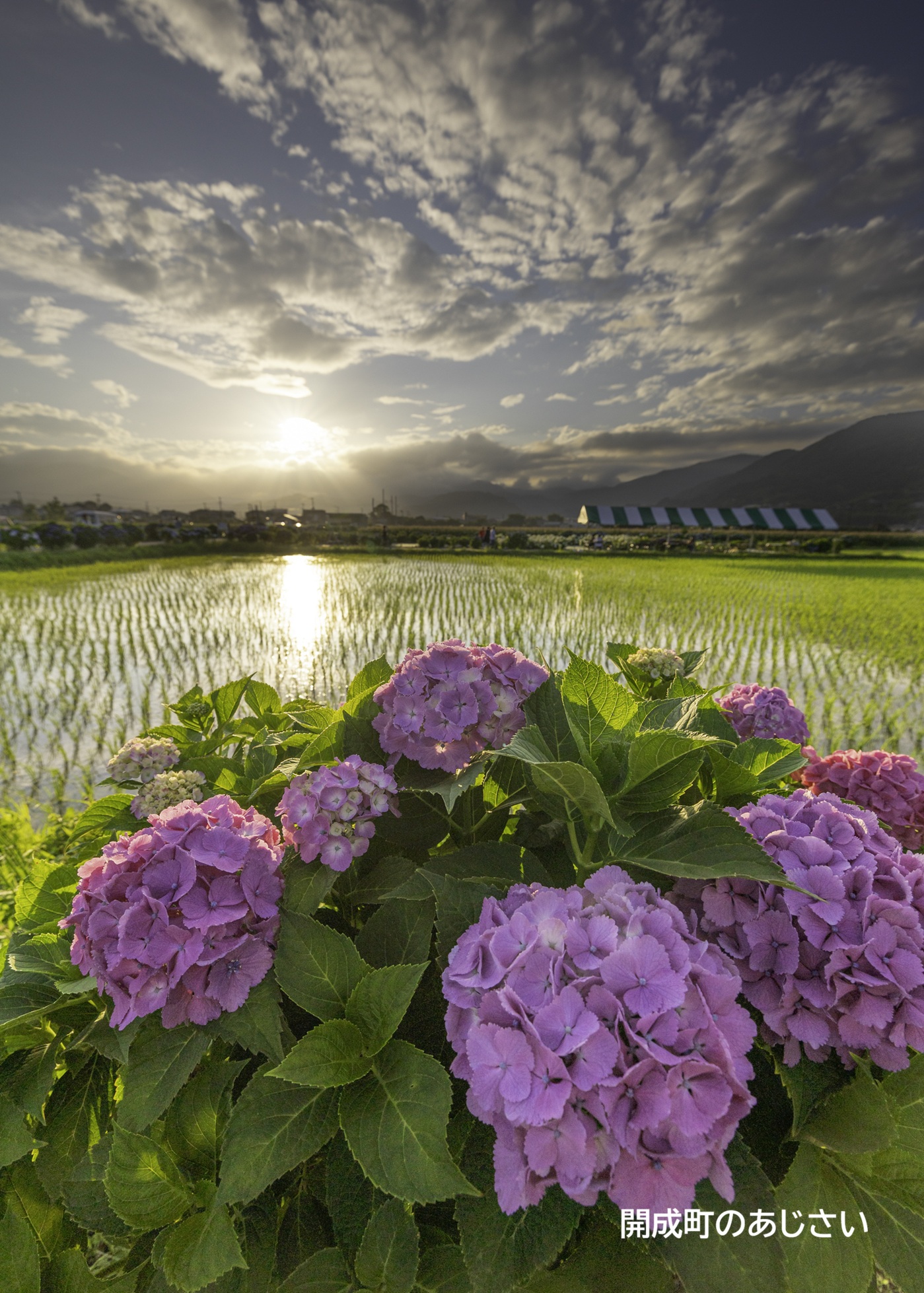 ツアーのポイントの画像