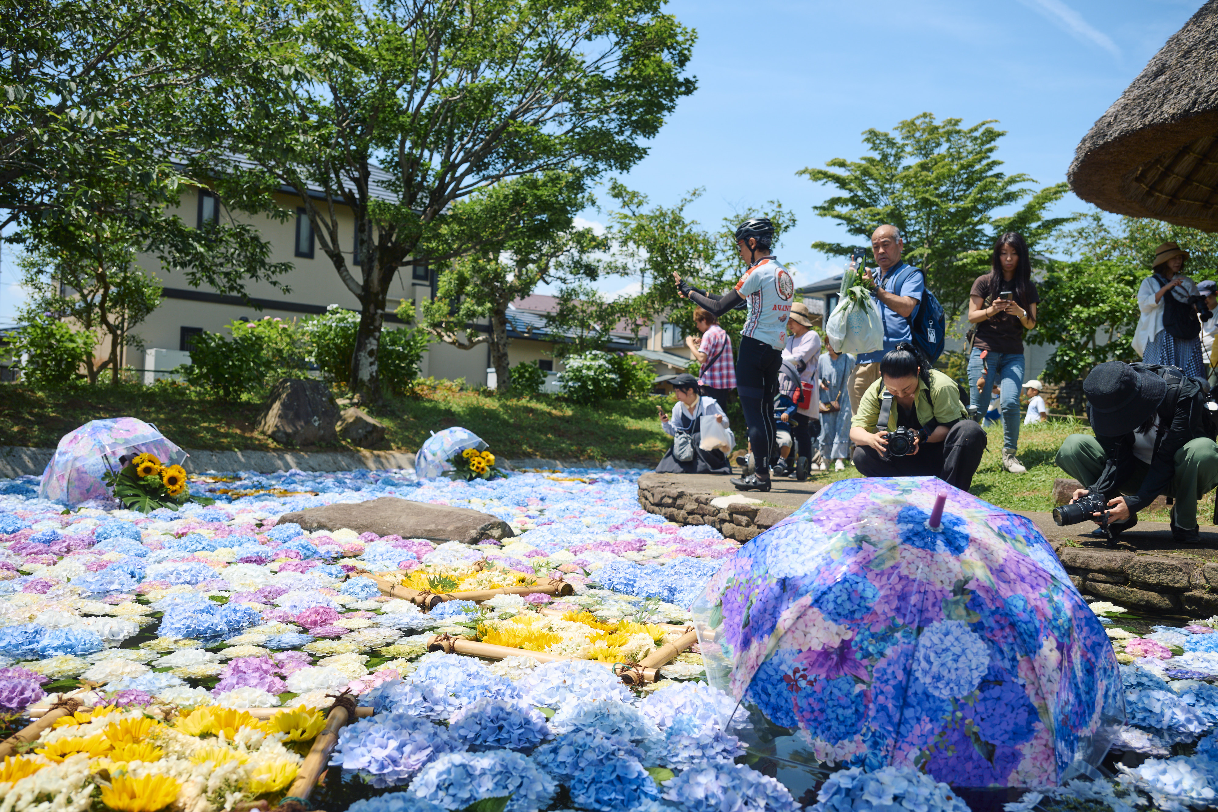 2026年6月のバスツアーのイメージ画像