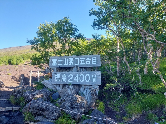 2026年7月～8月のバスツアーのイメージ画像
