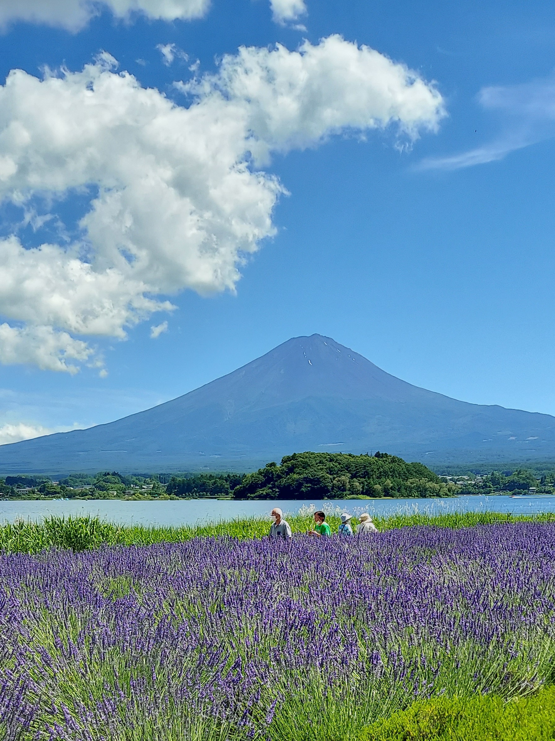 2026年7月～8月のバスツアーのイメージ画像
