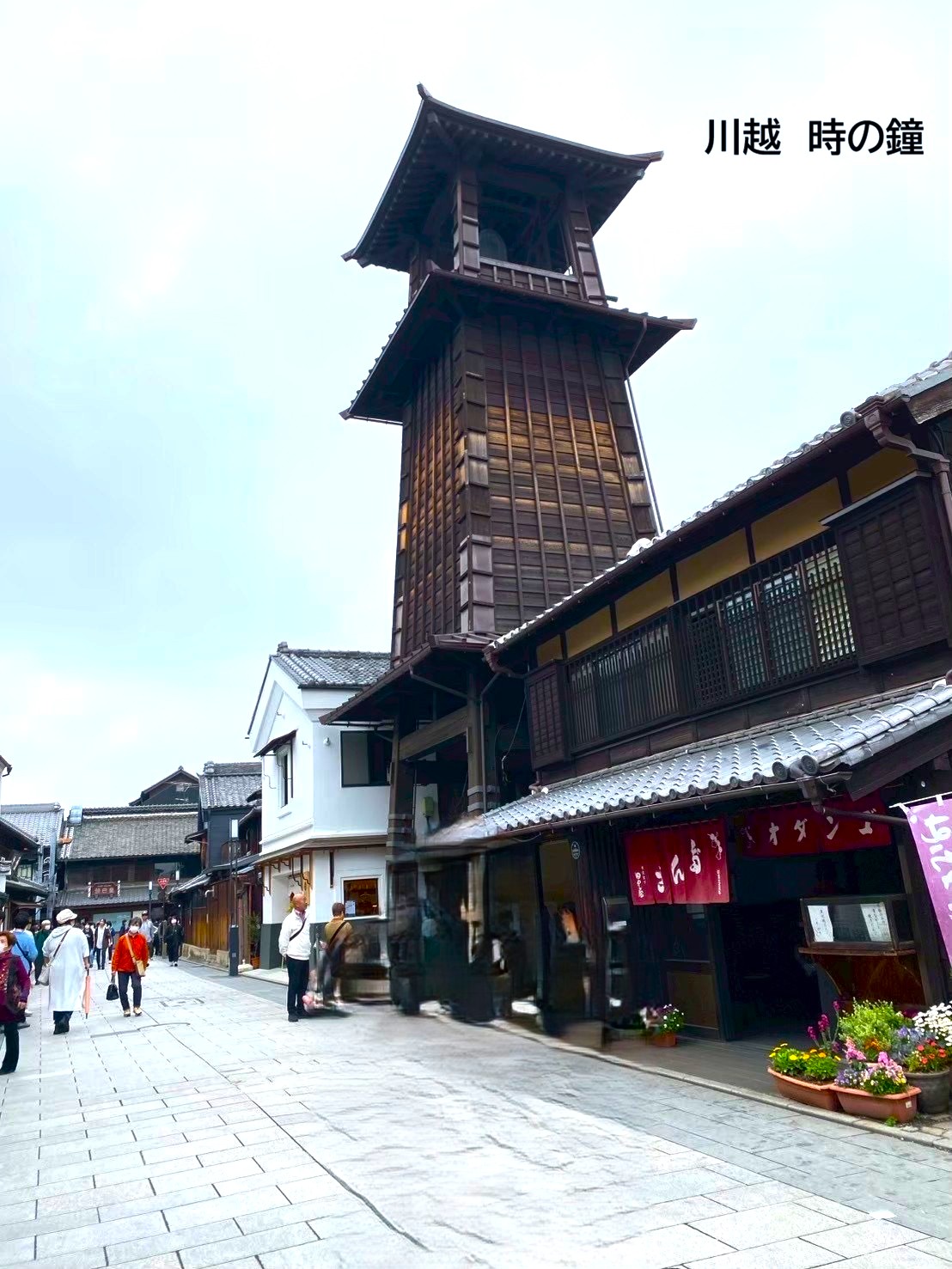 2026年6月のバスツアーのイメージ画像