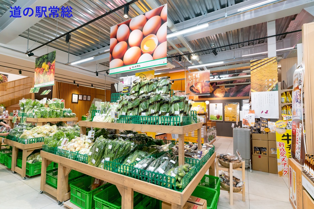 2026年3月～5月の募集型旅行のイメージ画像