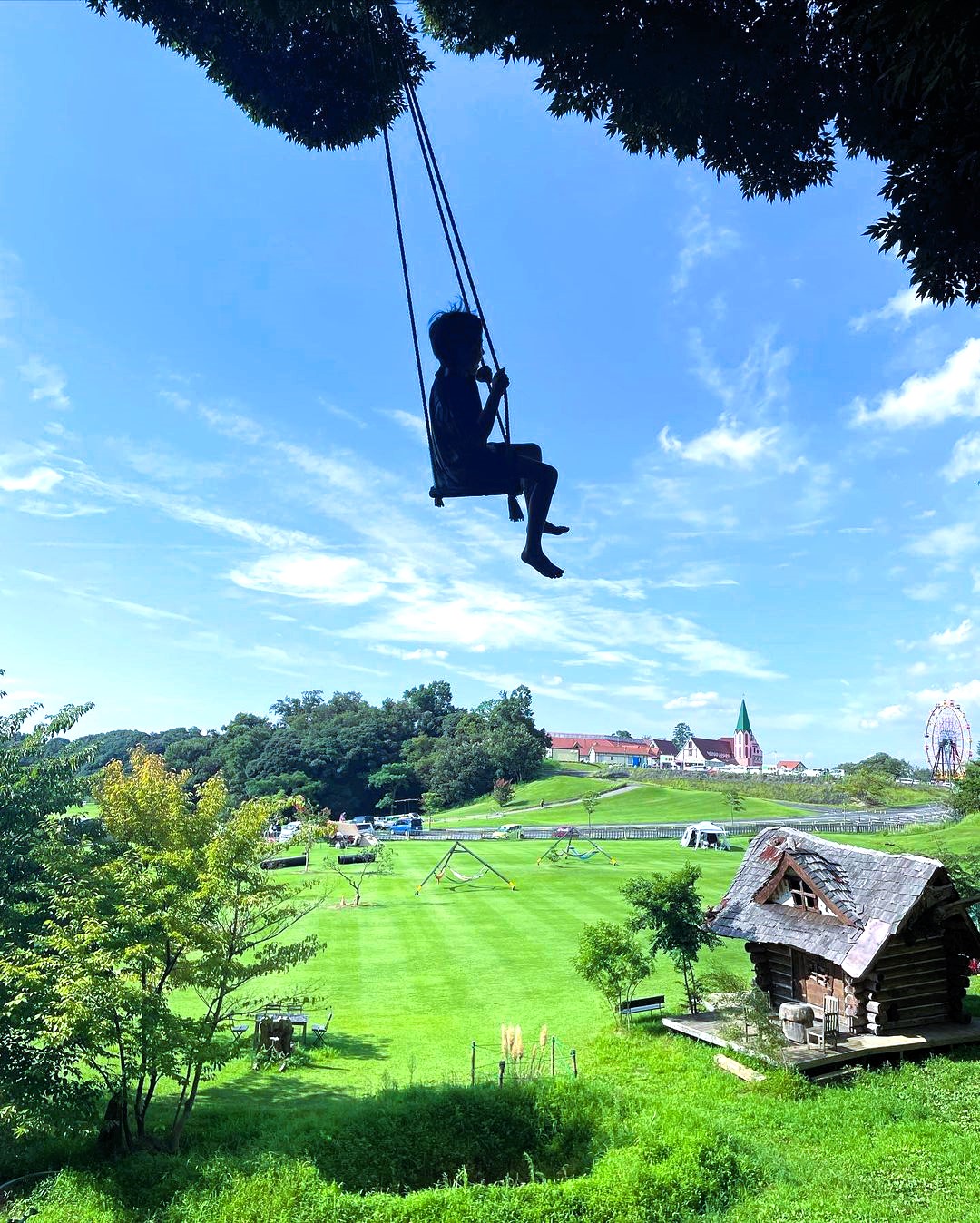 ツアーのポイントの画像
