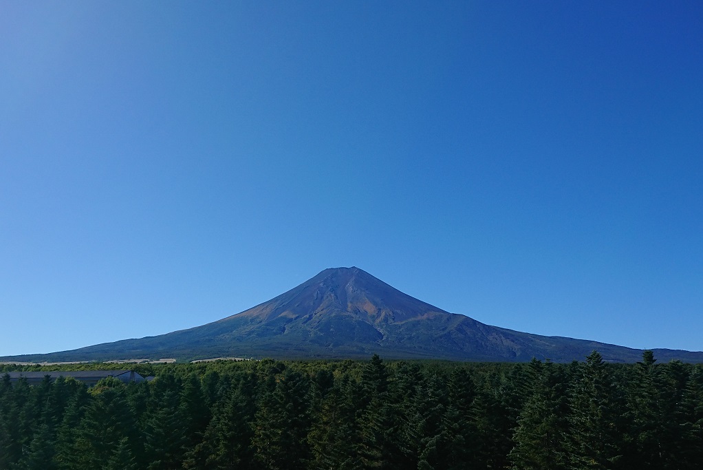 2026年7月～8月のバスツアーのイメージ画像