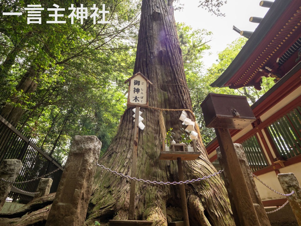 2026年3月～5月の募集型旅行のイメージ画像