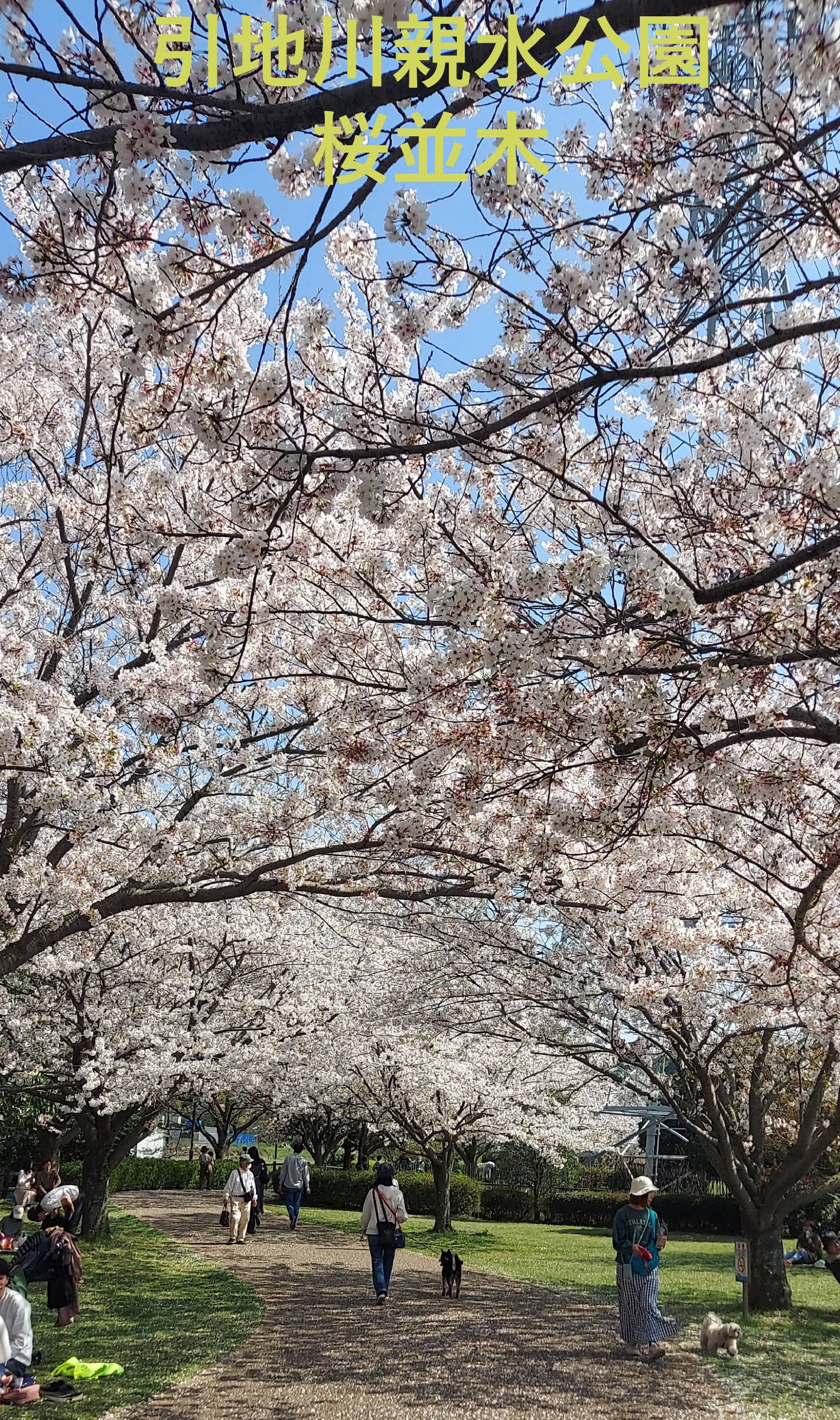 2026年3月～5月の募集型旅行のイメージ画像