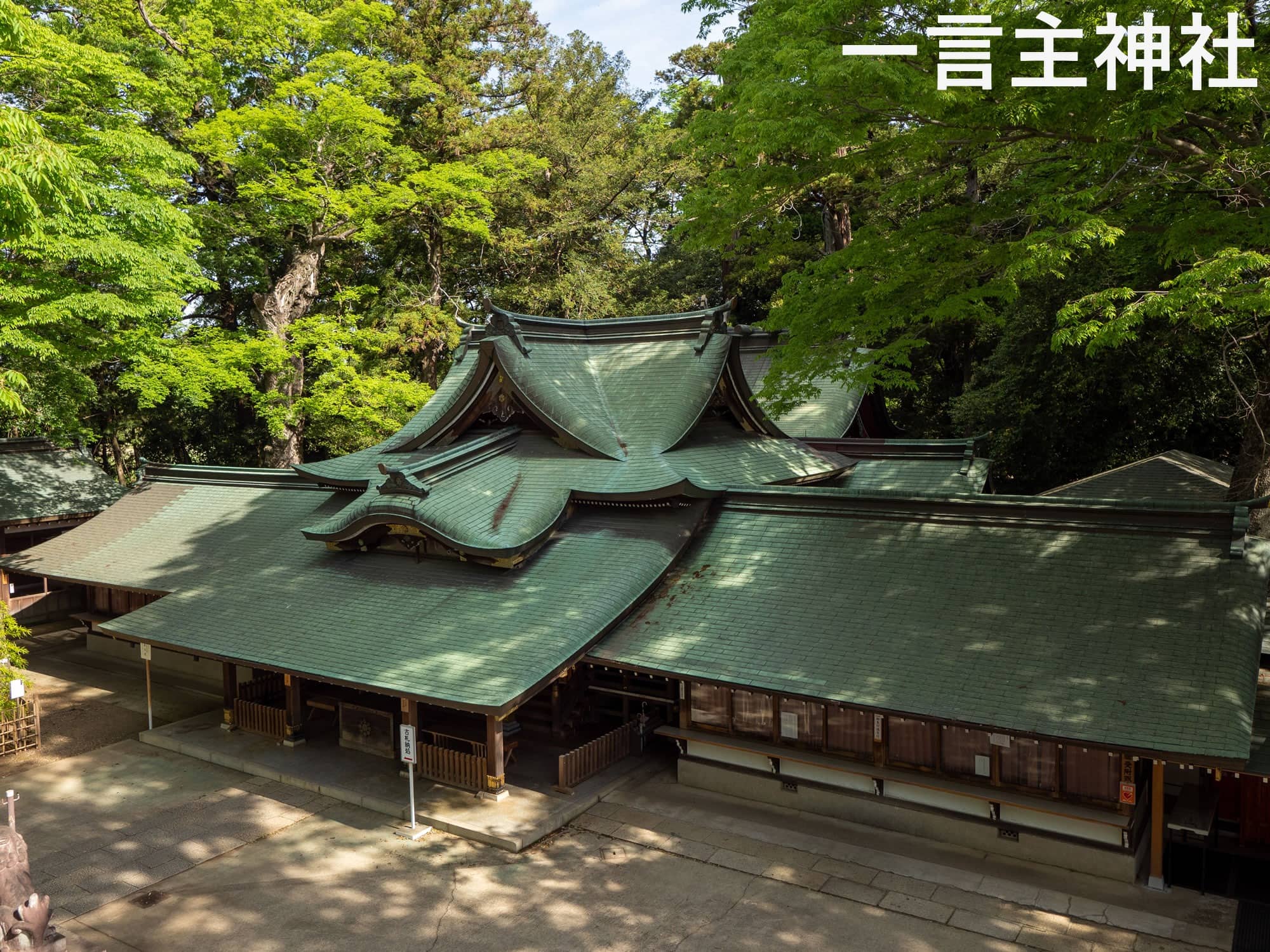 2026年3月～5月の募集型旅行のイメージ画像