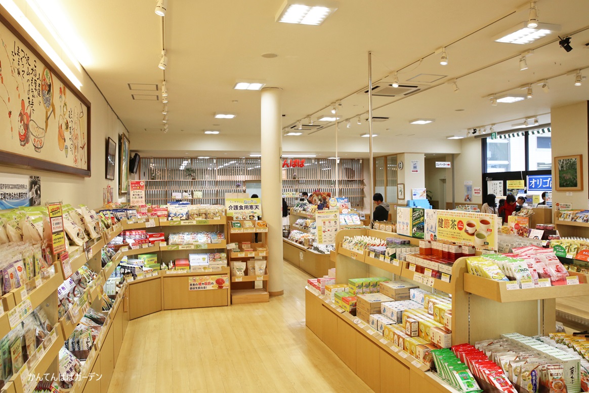 2026年3月～5月の募集型旅行のイメージ画像