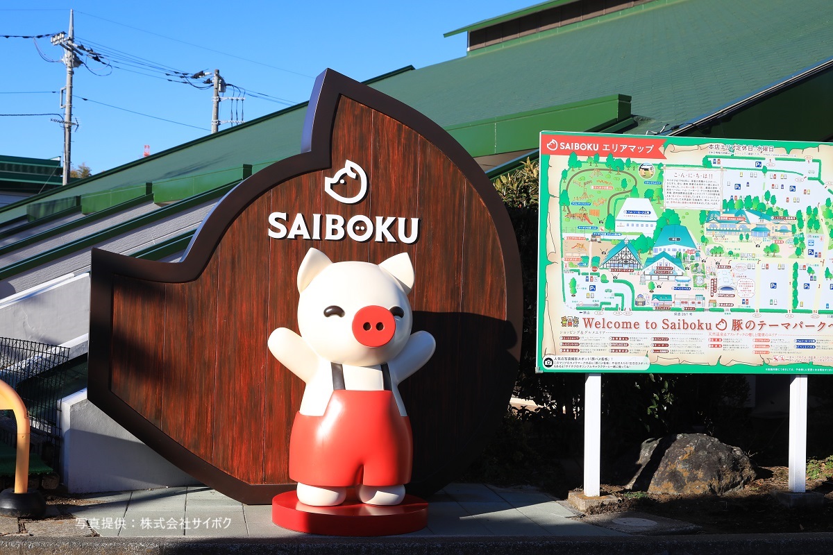 2026年3月～5月の募集型旅行のイメージ画像