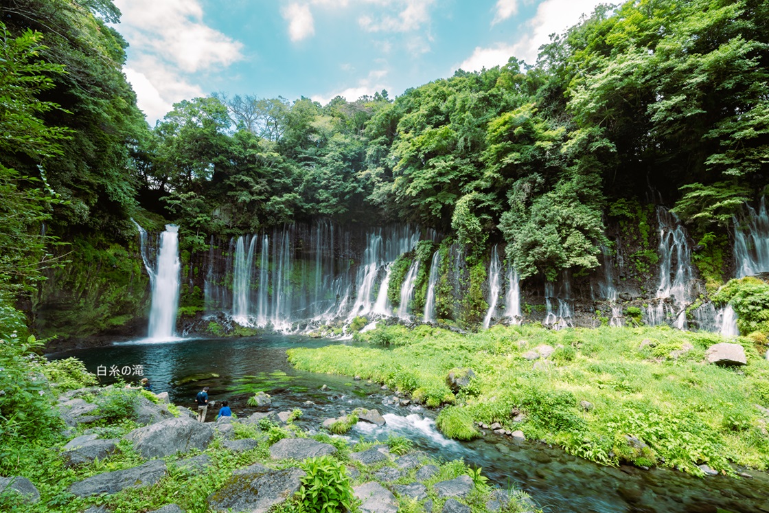 2026年3月～5月の募集型旅行のイメージ画像