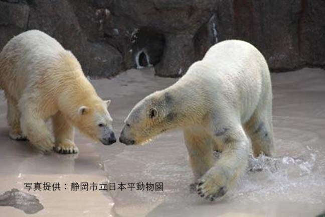 2026年3月～5月の募集型旅行のイメージ画像