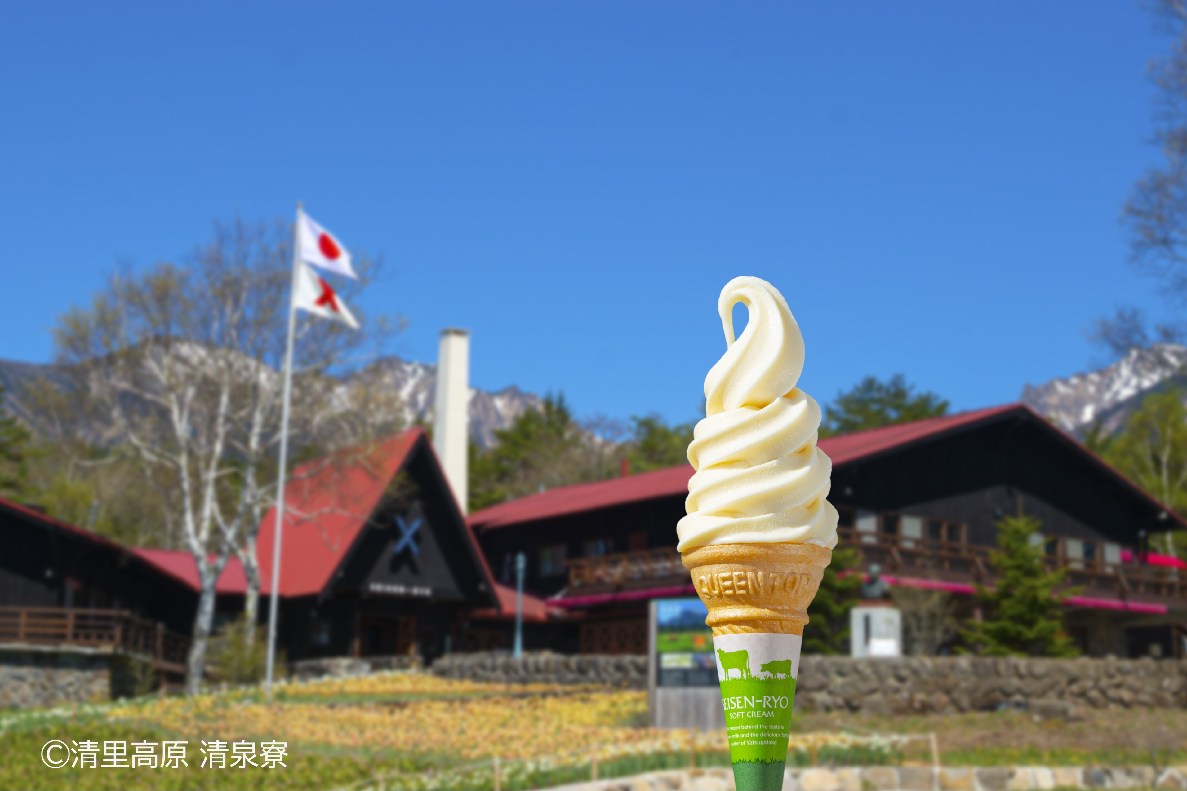 2026年7月～8月のバスツアーのイメージ画像