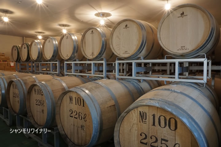 2026年3月～5月の募集型旅行のイメージ画像