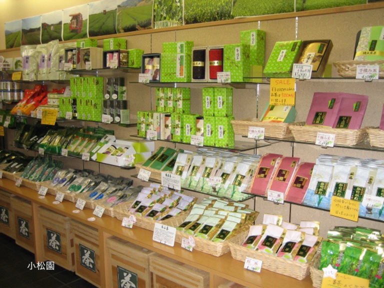 2026年3月～5月の募集型旅行のイメージ画像