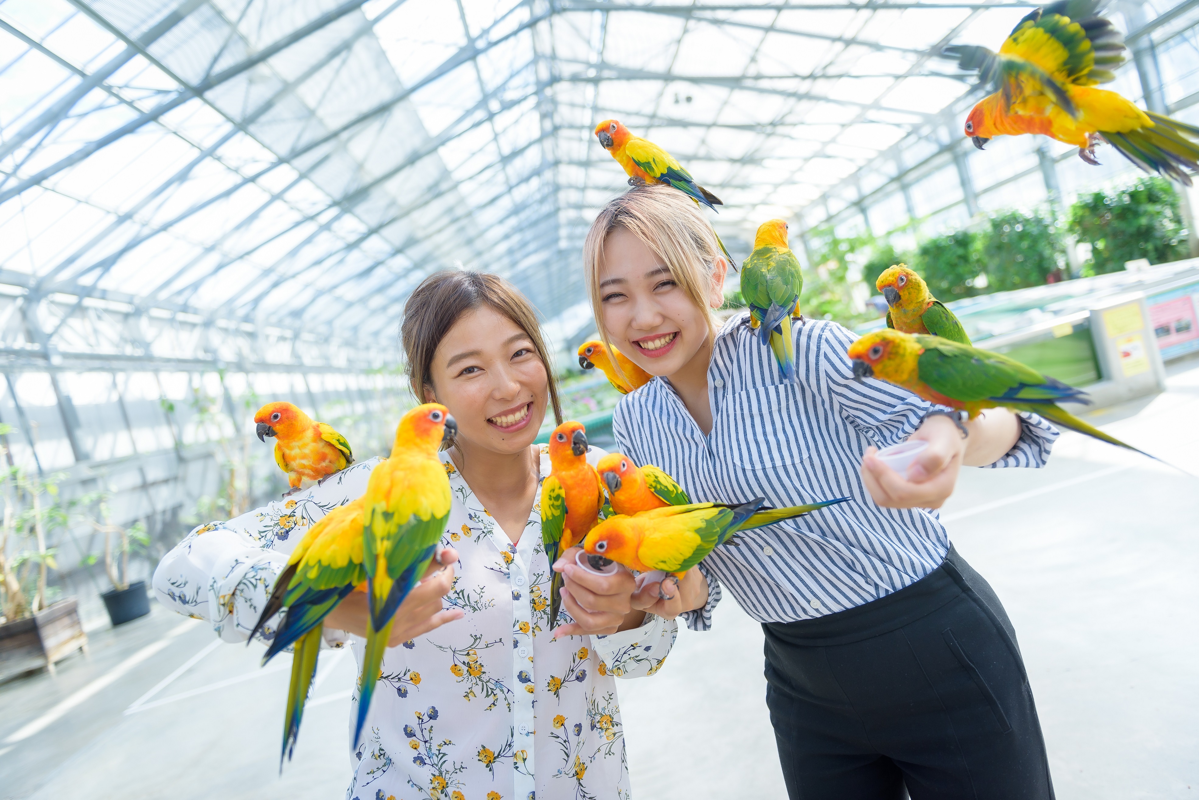 2026年9月～10月のバスツアーのイメージ画像