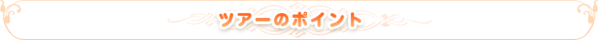 ツアーのポイント