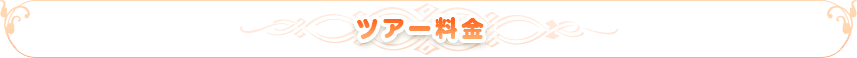 ツアー料金